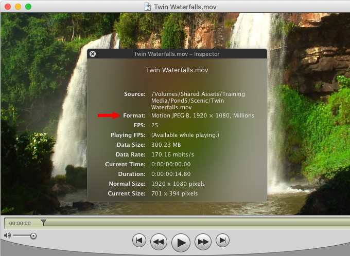 quick time player for mac 10.4